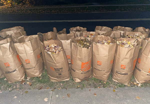 Bags of Yard Waste