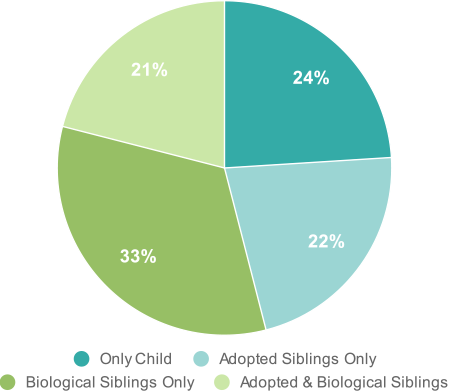 Siblings of Adopted Children