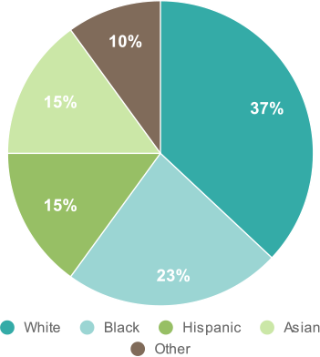 Ethnic Origin of Adopted Children