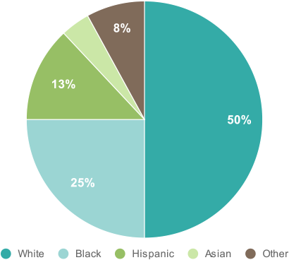 Race/Ethnic Origin of Adopted Child